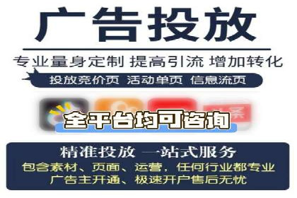 百度广告投放策略与效果评估案例